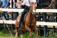 photo-22